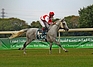 DSC00479.JPG