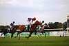 DSC00482.JPG