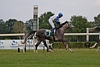 DSC00483.JPG