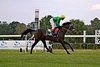 DSC00484.JPG