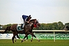 DSC00486.JPG