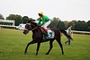 DSC00487.JPG
