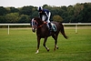 DSC00489.JPG