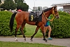 DSC00496.JPG