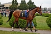 DSC00497.JPG
