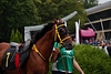 DSC00501.JPG