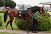 DSC00505.JPG