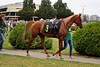 DSC00506.JPG