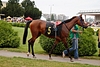 DSC00507.JPG