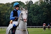DSC00596.JPG