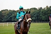 DSC00597.JPG