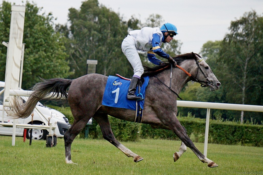 DSC00296.JPG