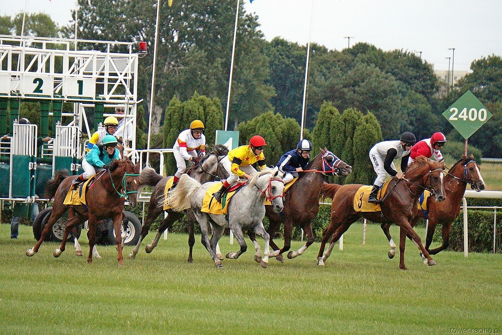 DSC00450.JPG