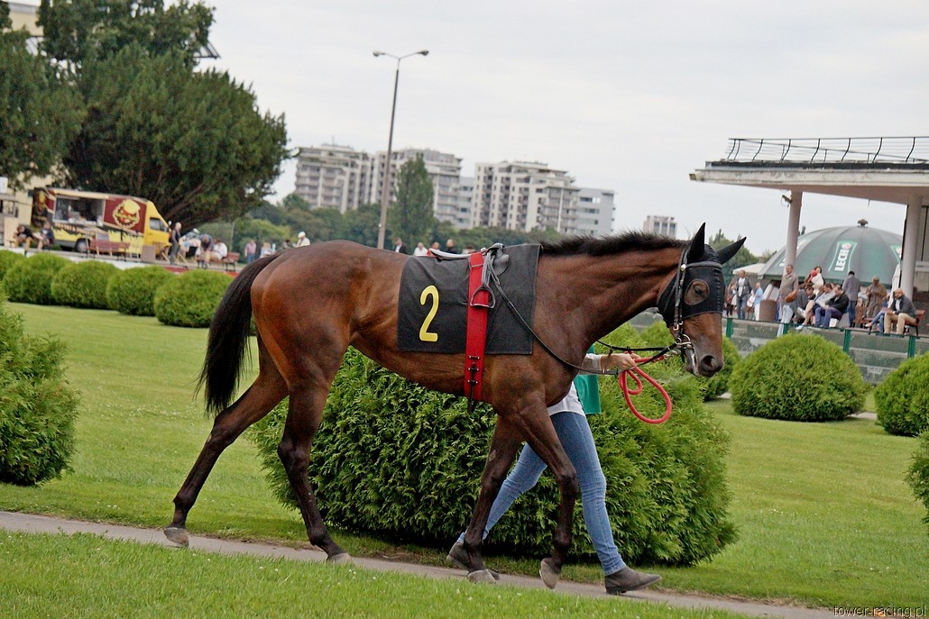 DSC00474.JPG