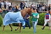DSC00353.JPG