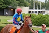 DSC00387.JPG