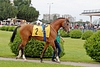DSC00397.JPG