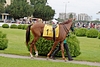 DSC00398.JPG