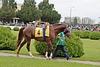 DSC00400.JPG