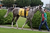 DSC00402.JPG