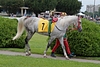 DSC00404.JPG