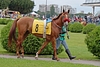 DSC00405.JPG