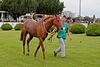DSC00406.JPG