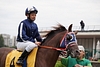 DSC00440.JPG