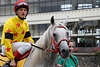 DSC00444.JPG