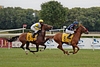 DSC00456.JPG
