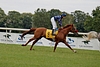 DSC00467.JPG