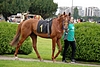 DSC00472.JPG