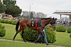 DSC00474.JPG