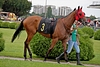 DSC00475.JPG