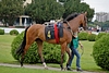 DSC00476.JPG