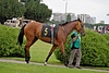 DSC00477.JPG