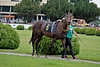 DSC00478.JPG