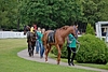 DSC00479.JPG