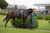 DSC00482.JPG