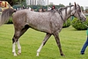 DSC00488.JPG