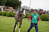 DSC00493.JPG