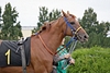 DSC00500.JPG
