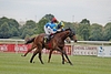 DSC00514.JPG