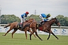 DSC00516.JPG