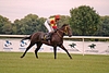 DSC00524.JPG
