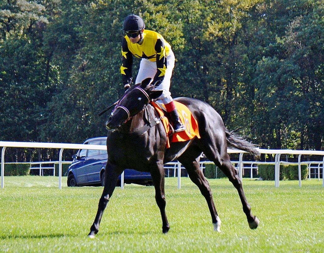 DSC00487.JPG