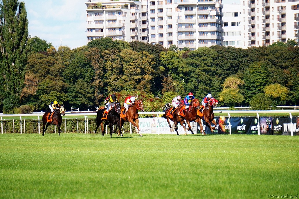 DSC00496.JPG