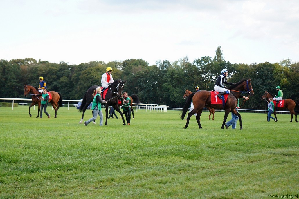 DSC00695.JPG
