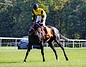 DSC00487.JPG