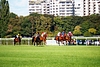 DSC00496.JPG
